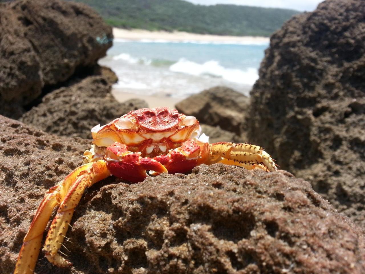 House 53 Sodwana Bay Lodge Екстериор снимка