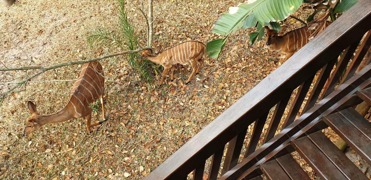 House 53 Sodwana Bay Lodge Екстериор снимка
